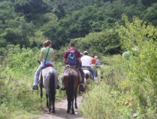 Espace Equestre Mazerolles
